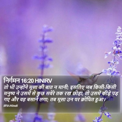 निर्गमन 16:20 HINIRV Bible Verse Image