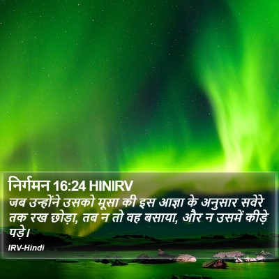 निर्गमन 16:24 HINIRV Bible Verse Image