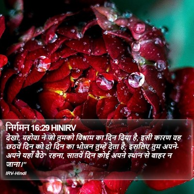 निर्गमन 16:29 HINIRV Bible Verse Image