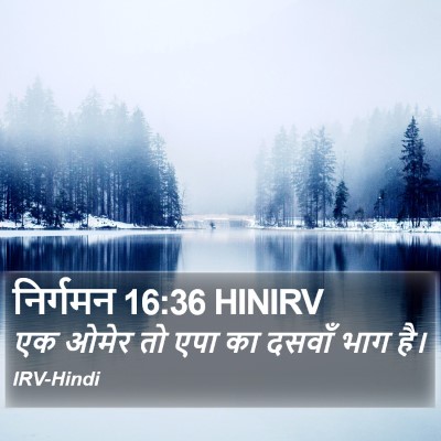 निर्गमन 16:36 HINIRV Bible Verse Image