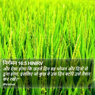 निर्गमन 16:5 HINIRV Bible Verse Image