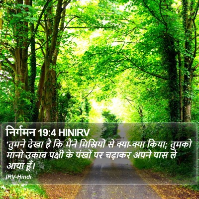 निर्गमन 19:4 HINIRV Bible Verse Image