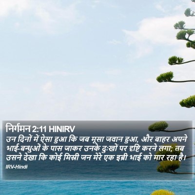 निर्गमन 2:11 HINIRV Bible Verse Image