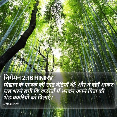 निर्गमन 2:16 HINIRV Bible Verse Image