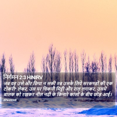 निर्गमन 2:3 HINIRV Bible Verse Image