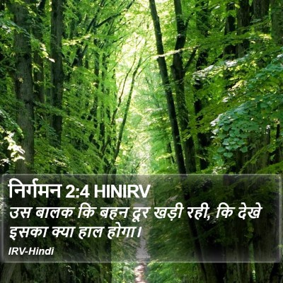 निर्गमन 2:4 HINIRV Bible Verse Image