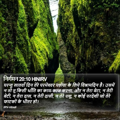 निर्गमन 20:10 HINIRV Bible Verse Image