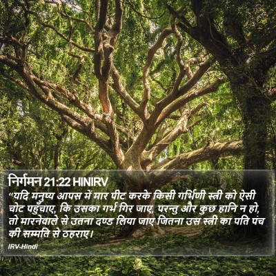 निर्गमन 21:22 HINIRV Bible Verse Image