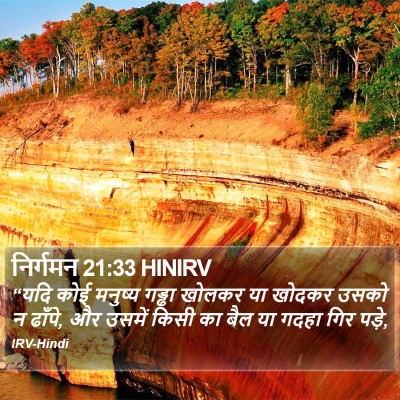 निर्गमन 21:33 HINIRV Bible Verse Image