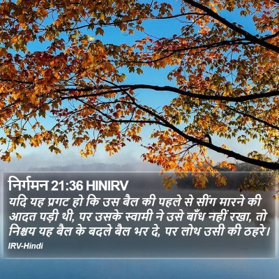 निर्गमन 21:36 HINIRV Bible Verse Image