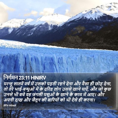 निर्गमन 23:11 HINIRV Bible Verse Image