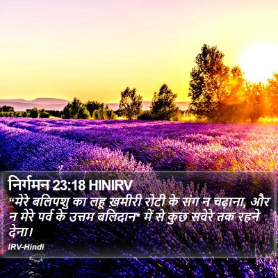 निर्गमन 23:18 HINIRV Bible Verse Image