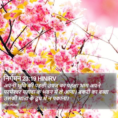 निर्गमन 23:19 HINIRV Bible Verse Image