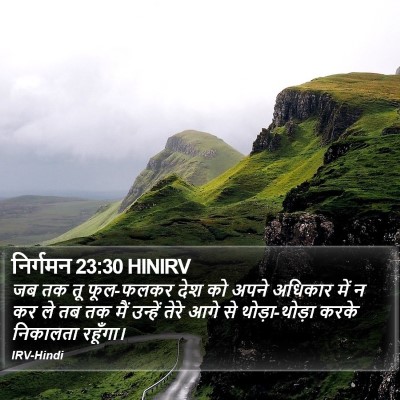 निर्गमन 23:30 HINIRV Bible Verse Image