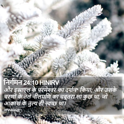 निर्गमन 24:10 HINIRV Bible Verse Image