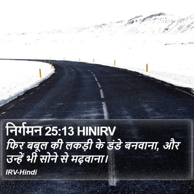 निर्गमन 25:13 HINIRV Bible Verse Image