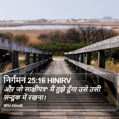 निर्गमन 25:16 HINIRV Bible Verse Image