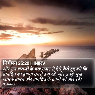 निर्गमन 25:20 HINIRV Bible Verse Image