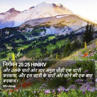निर्गमन 25:25 HINIRV Bible Verse Image