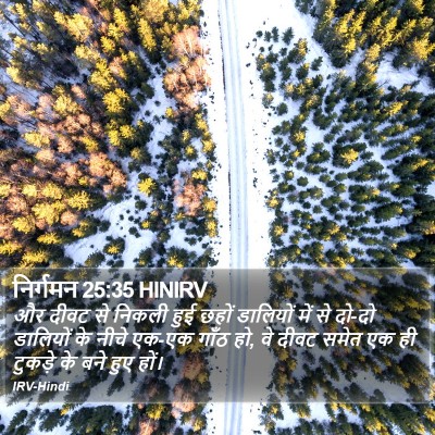 निर्गमन 25:35 HINIRV Bible Verse Image