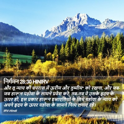 निर्गमन 28:30 HINIRV Bible Verse Image