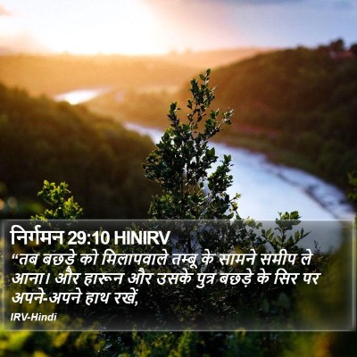 निर्गमन 29:10 HINIRV Bible Verse Image