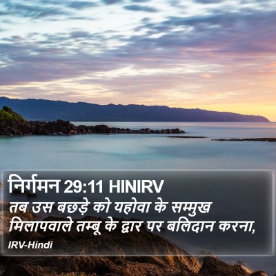 निर्गमन 29:11 HINIRV Bible Verse Image