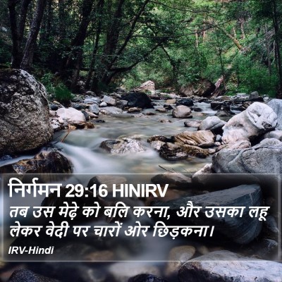 निर्गमन 29:16 HINIRV Bible Verse Image