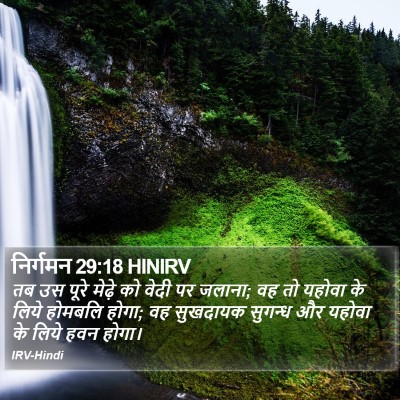 निर्गमन 29:18 HINIRV Bible Verse Image