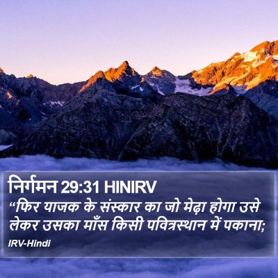 निर्गमन 29:31 HINIRV Bible Verse Image