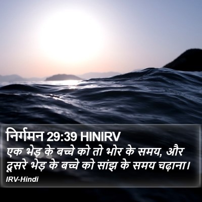 निर्गमन 29:39 HINIRV Bible Verse Image