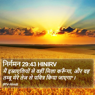 निर्गमन 29:43 HINIRV Bible Verse Image