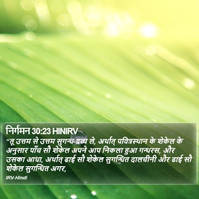 निर्गमन 30:23 HINIRV Bible Verse Image