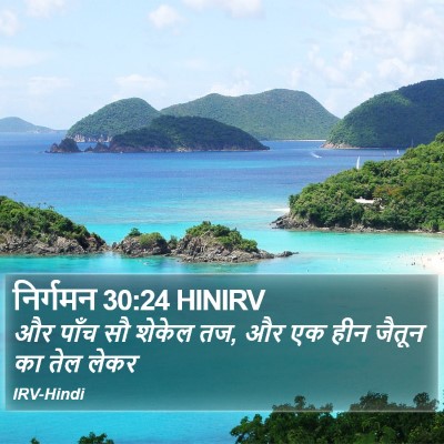 निर्गमन 30:24 HINIRV Bible Verse Image
