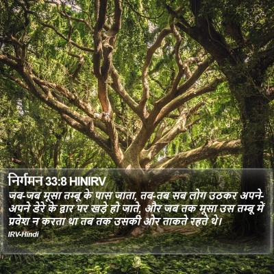 निर्गमन 33:8 HINIRV Bible Verse Image