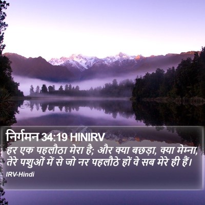 निर्गमन 34:19 HINIRV Bible Verse Image