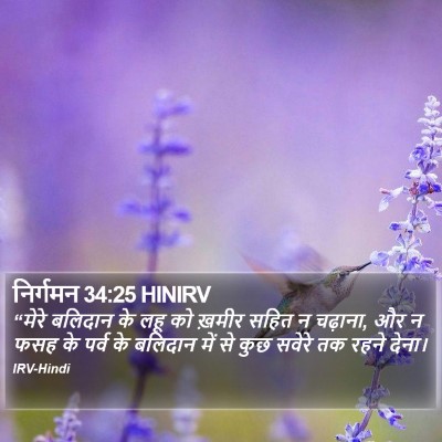 निर्गमन 34:25 HINIRV Bible Verse Image
