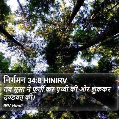 निर्गमन 34:8 HINIRV Bible Verse Image