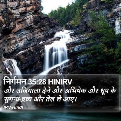निर्गमन 35:28 HINIRV Bible Verse Image