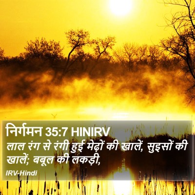 निर्गमन 35:7 HINIRV Bible Verse Image