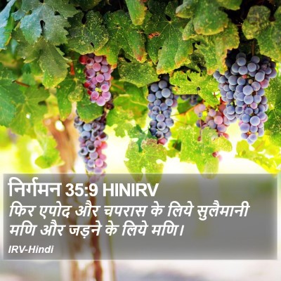 निर्गमन 35:9 HINIRV Bible Verse Image