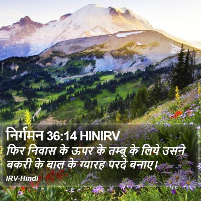 निर्गमन 36:14 HINIRV Bible Verse Image