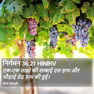 निर्गमन 36:21 HINIRV Bible Verse Image