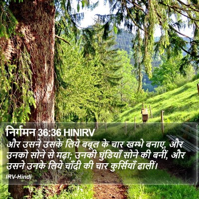 निर्गमन 36:36 HINIRV Bible Verse Image