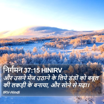 निर्गमन 37:15 HINIRV Bible Verse Image