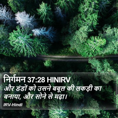 निर्गमन 37:28 HINIRV Bible Verse Image