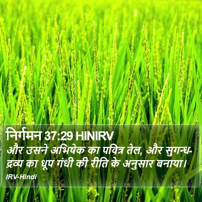 निर्गमन 37:29 HINIRV Bible Verse Image