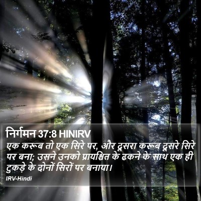 निर्गमन 37:8 HINIRV Bible Verse Image