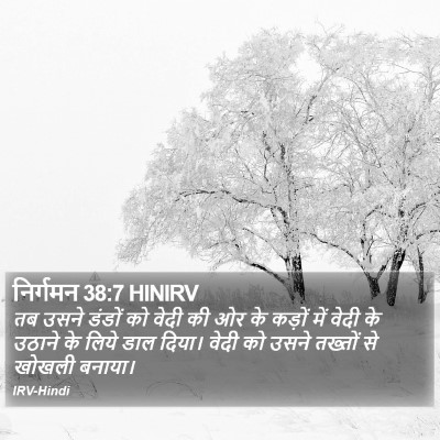 निर्गमन 38:7 HINIRV Bible Verse Image