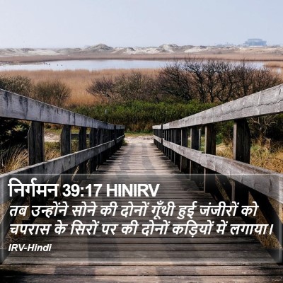 निर्गमन 39:17 HINIRV Bible Verse Image